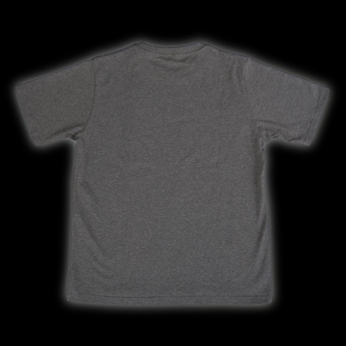 PSYCHOTIC T/SHIRT [PARANOIA GREY]